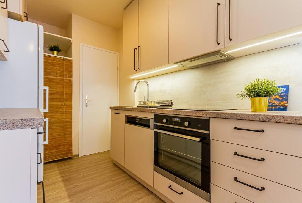 Roomy Apartment 80Sqm At City Center Free Parking Space, Ac & Balcony 부다페스트 외부 사진
