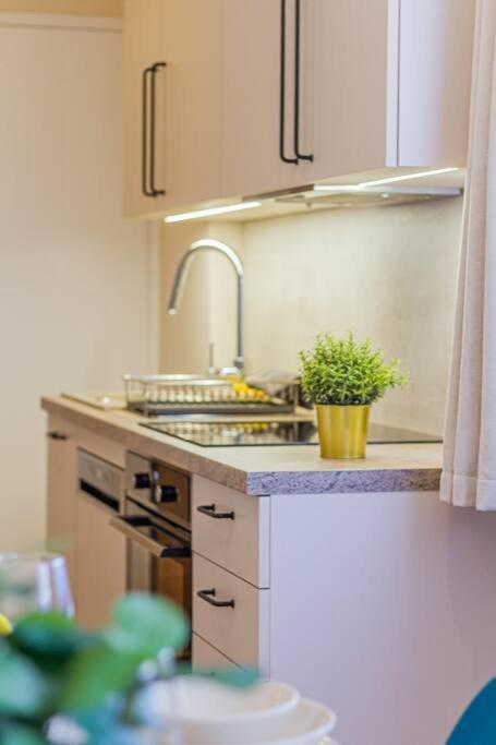 Roomy Apartment 80Sqm At City Center Free Parking Space, Ac & Balcony 부다페스트 외부 사진
